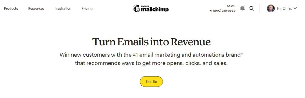 Mailchimp email marketing for therapists
