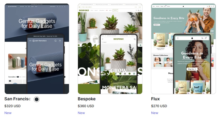 Screenshot showing examples of Shopify's paid themes.